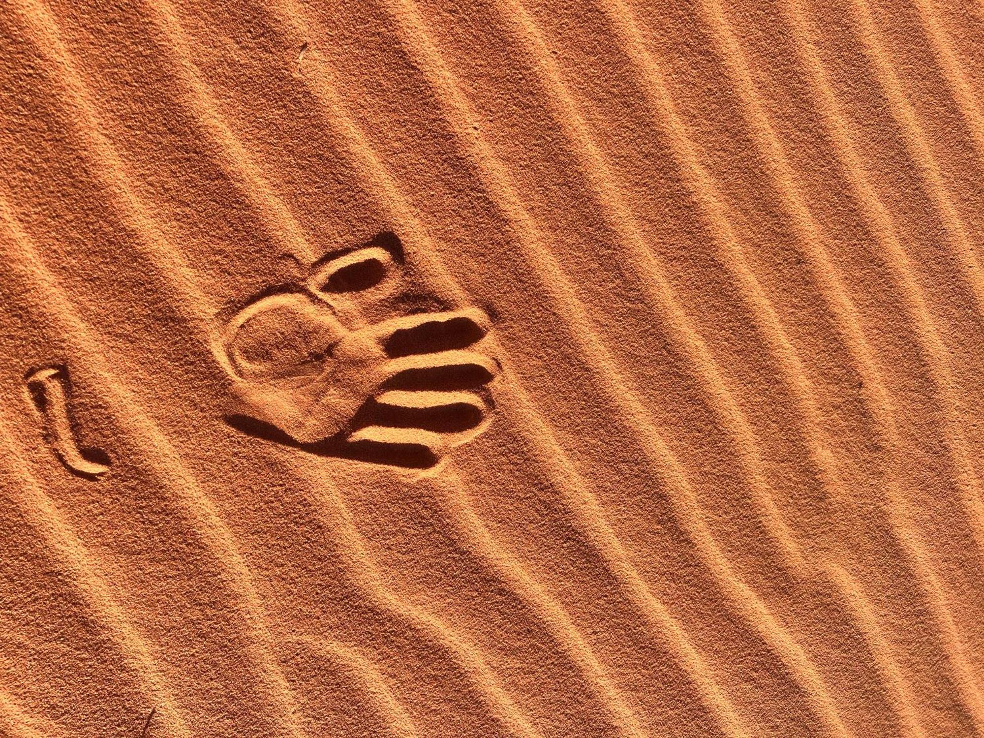 Wadi Rum Trip Esterno foto